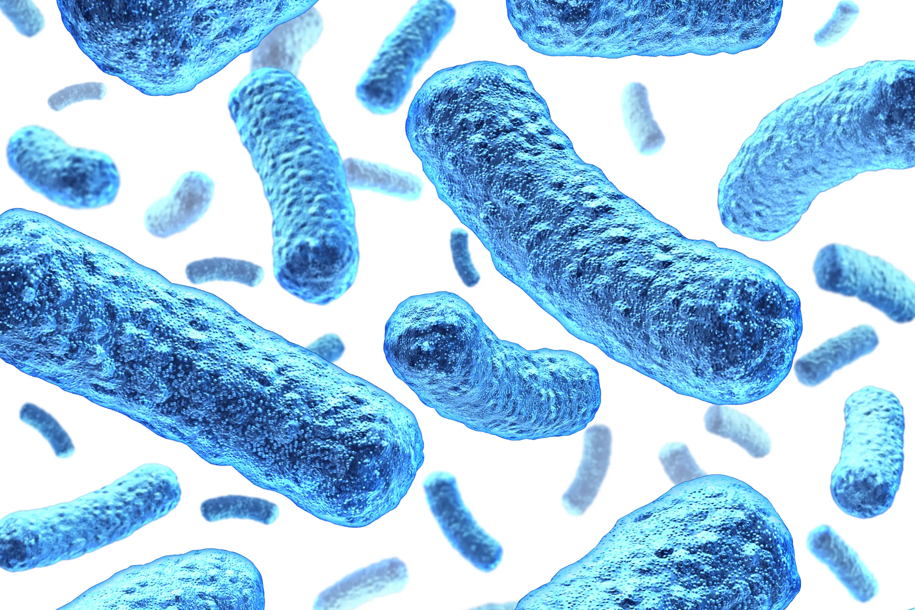 Bilde av blåe bakterier som ser ut som cheesedoddles.