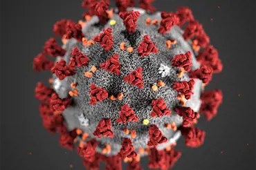 Bilde av et koronavirus.