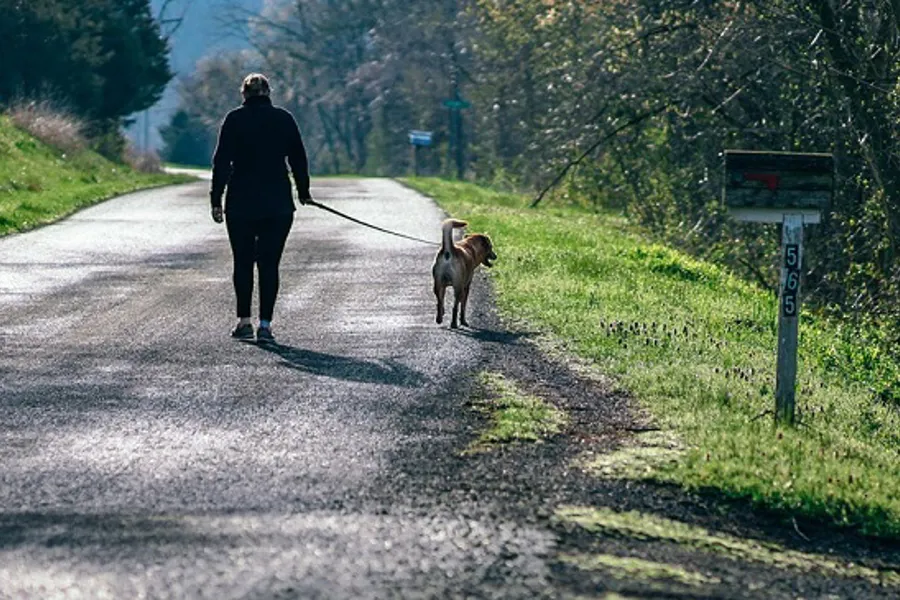 En mann som går tur med en hund på en vei