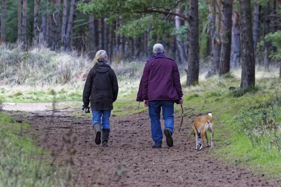 En mann og kvinne som går tur med hund på sti i skogen