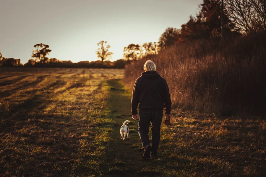 En person som går tur med en hund på en sti i et felt