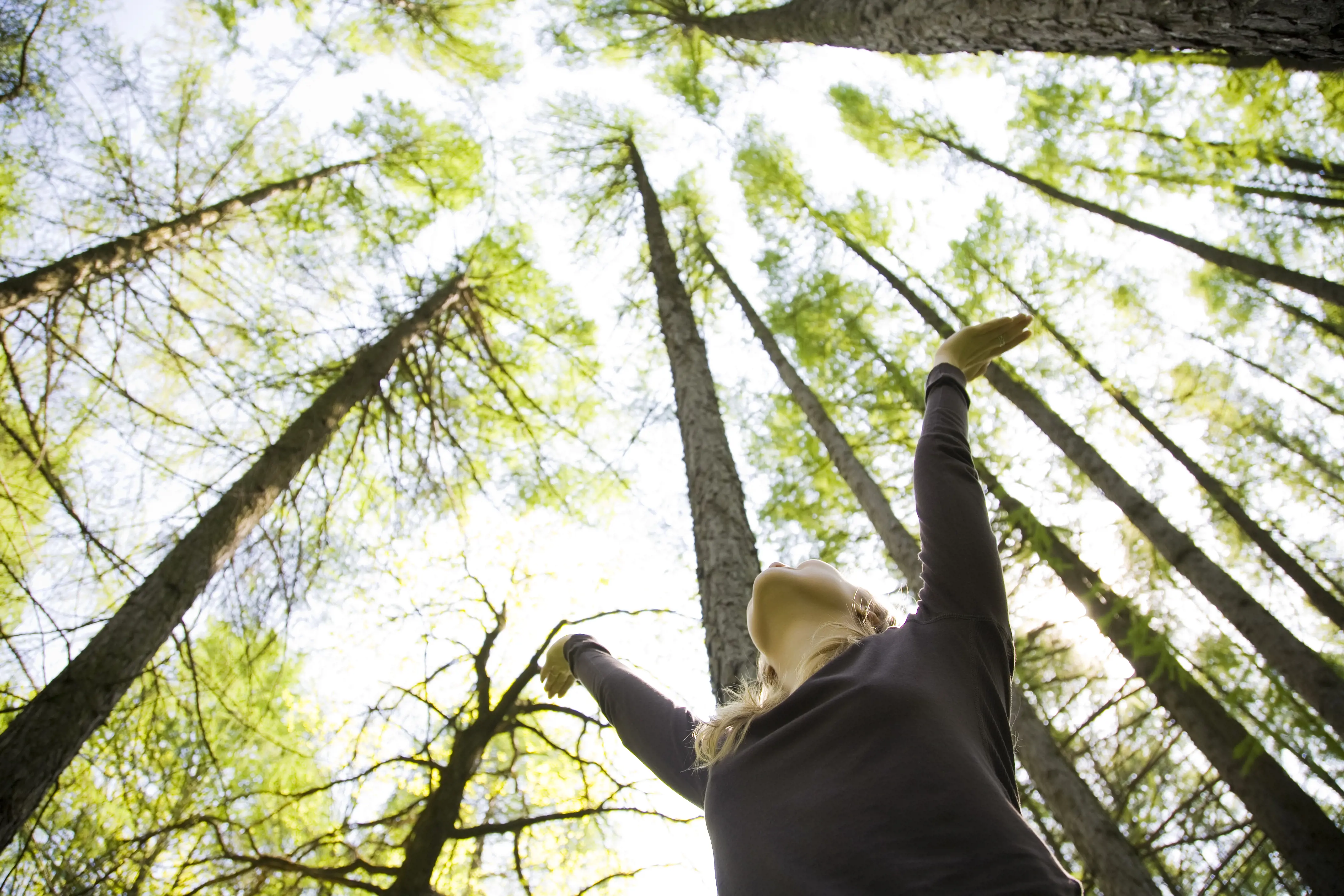 En dame, omgitt av høye trær, strekker armene mot himmelen.