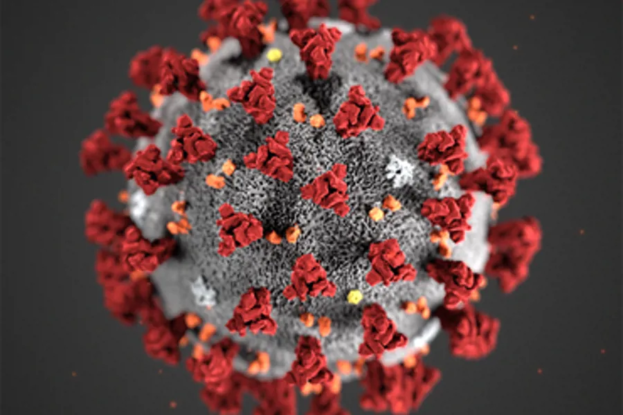 Bilde av et koronavirus